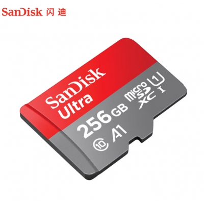 閃迪內(nèi)存卡256GB A1 U1 C10